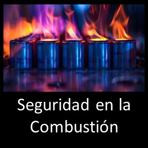 Seguridad en Combustión